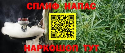 ECSTASY Гагарин