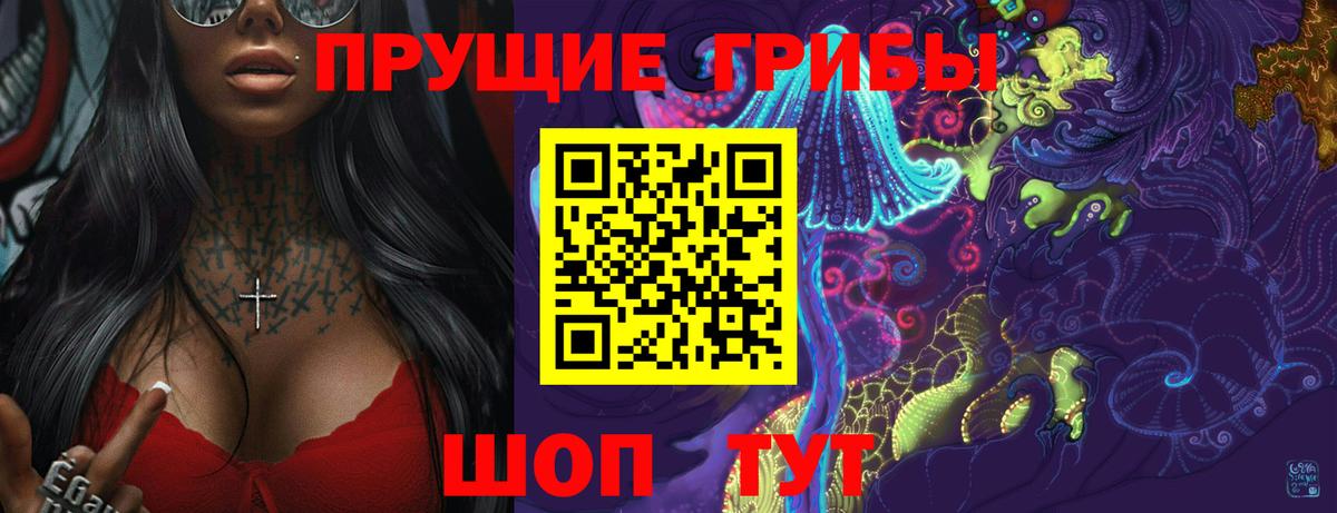 Псилоцибиновые грибы GOLDEN TEACHER  Вход с VPN  Псилоцибиновые грибы прущие грибы  наркота  Димитровград 